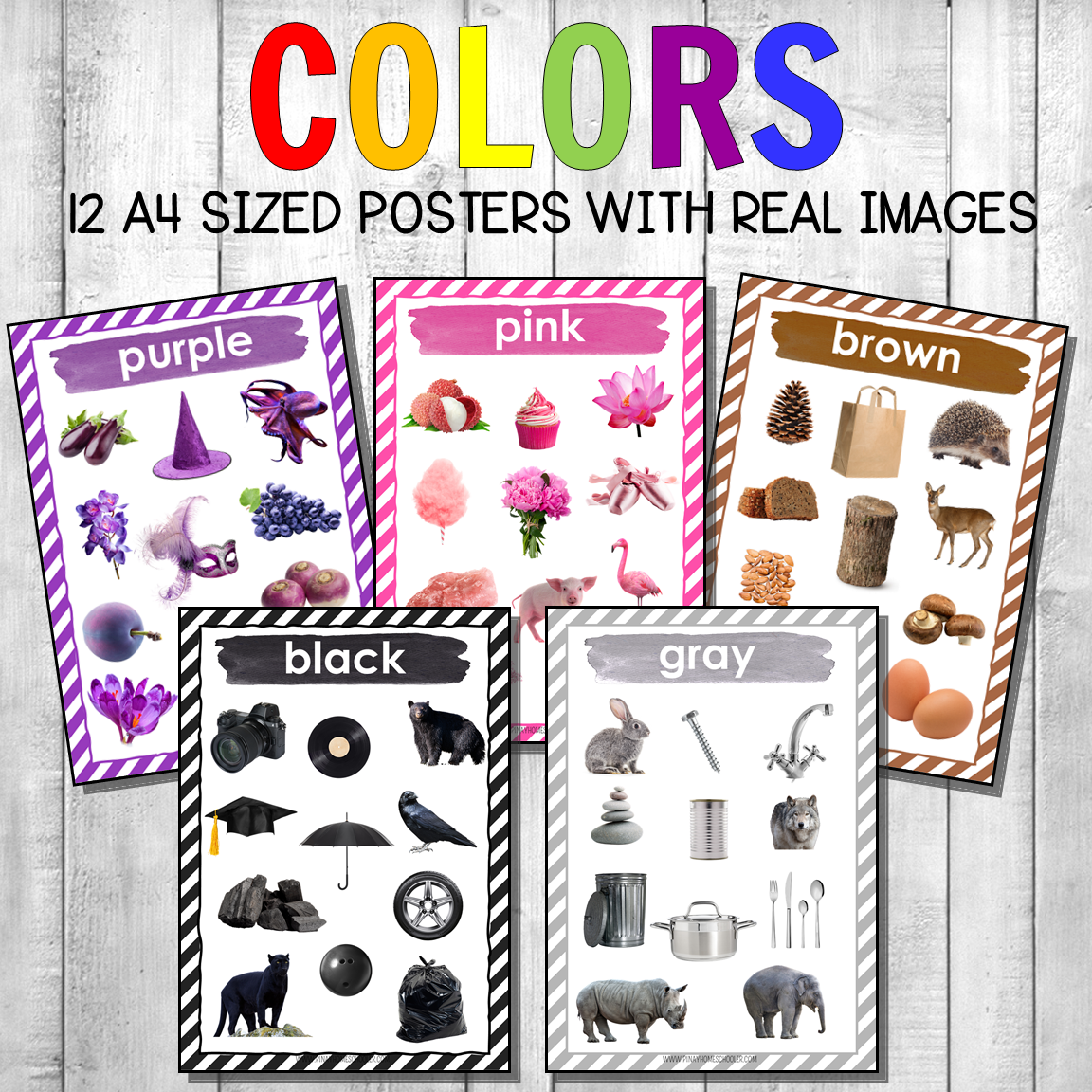 Montessori Color Posters Real Photos Version 1