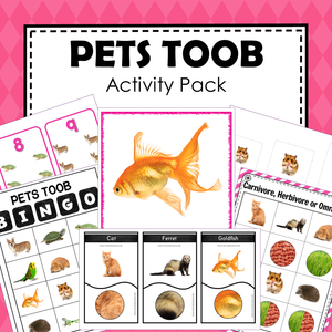 Safari Toob Pets Preschool Kindergarten Activity Pack