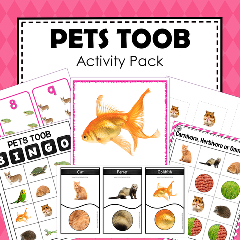 Safari Toob Pets Preschool Kindergarten Activity Pack