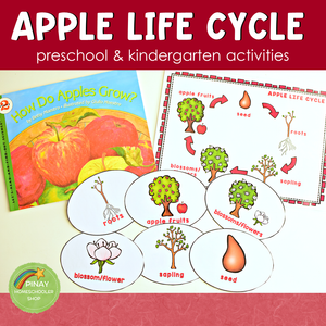 Apple Life Cycle Set -Preschool & Kindergarten Science Centers