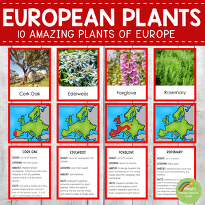 Plants of Europe Montessori 3 Part Cards