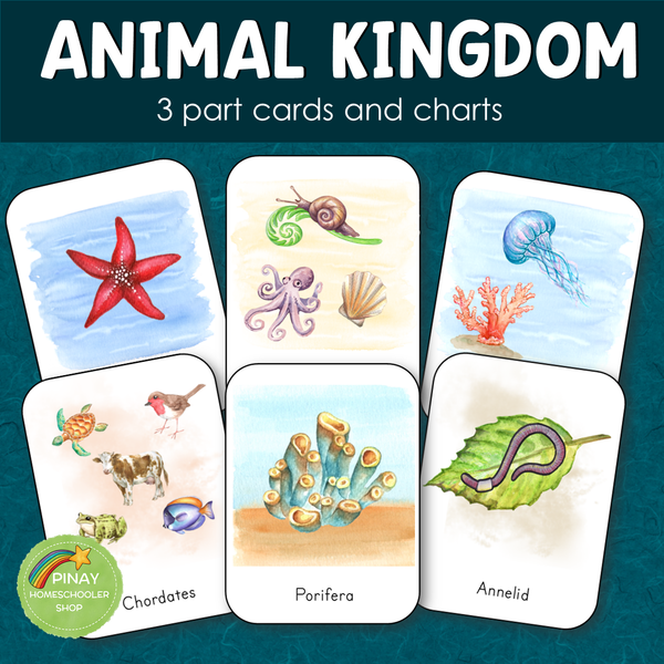 Animal Kingdom 3 Part Cards and Charts
