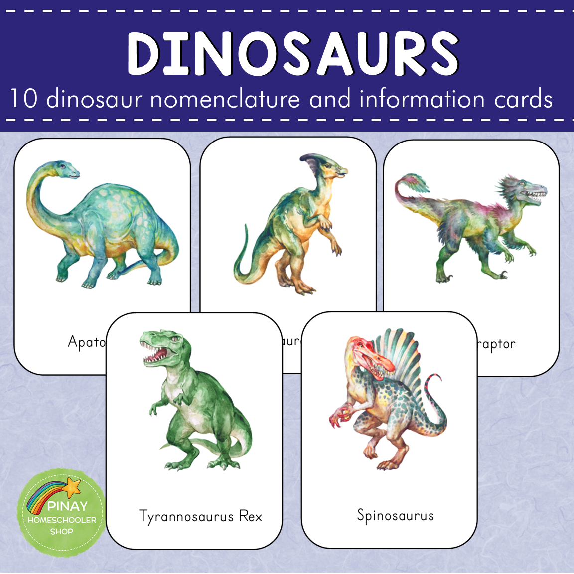 Dinosaurs Montessori 3 Part Cards and Information Cards