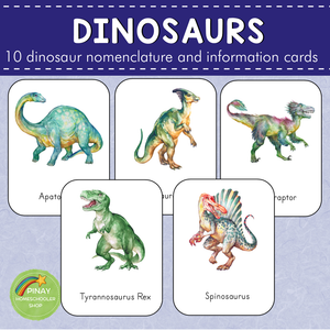 [1FALL] Dinosaurs Montessori 3 Part Cards and Information Cards