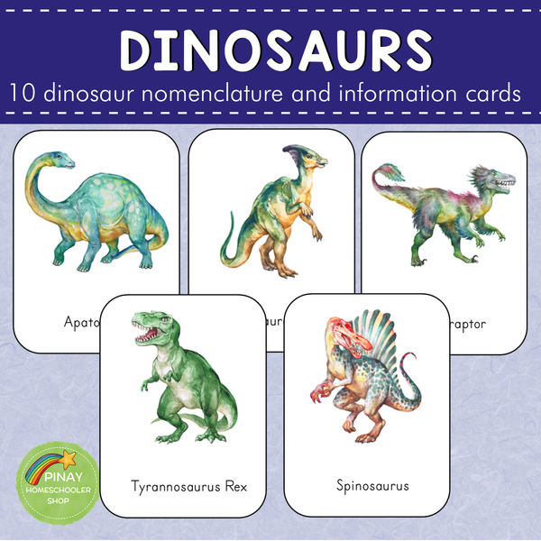 Dinosaurs Montessori 3 Part Cards and Information Cards