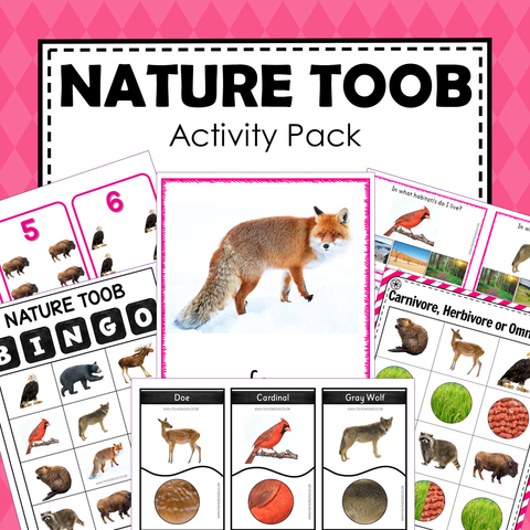 Safari Toob Nature Preschool Kindergarten Activity Pack