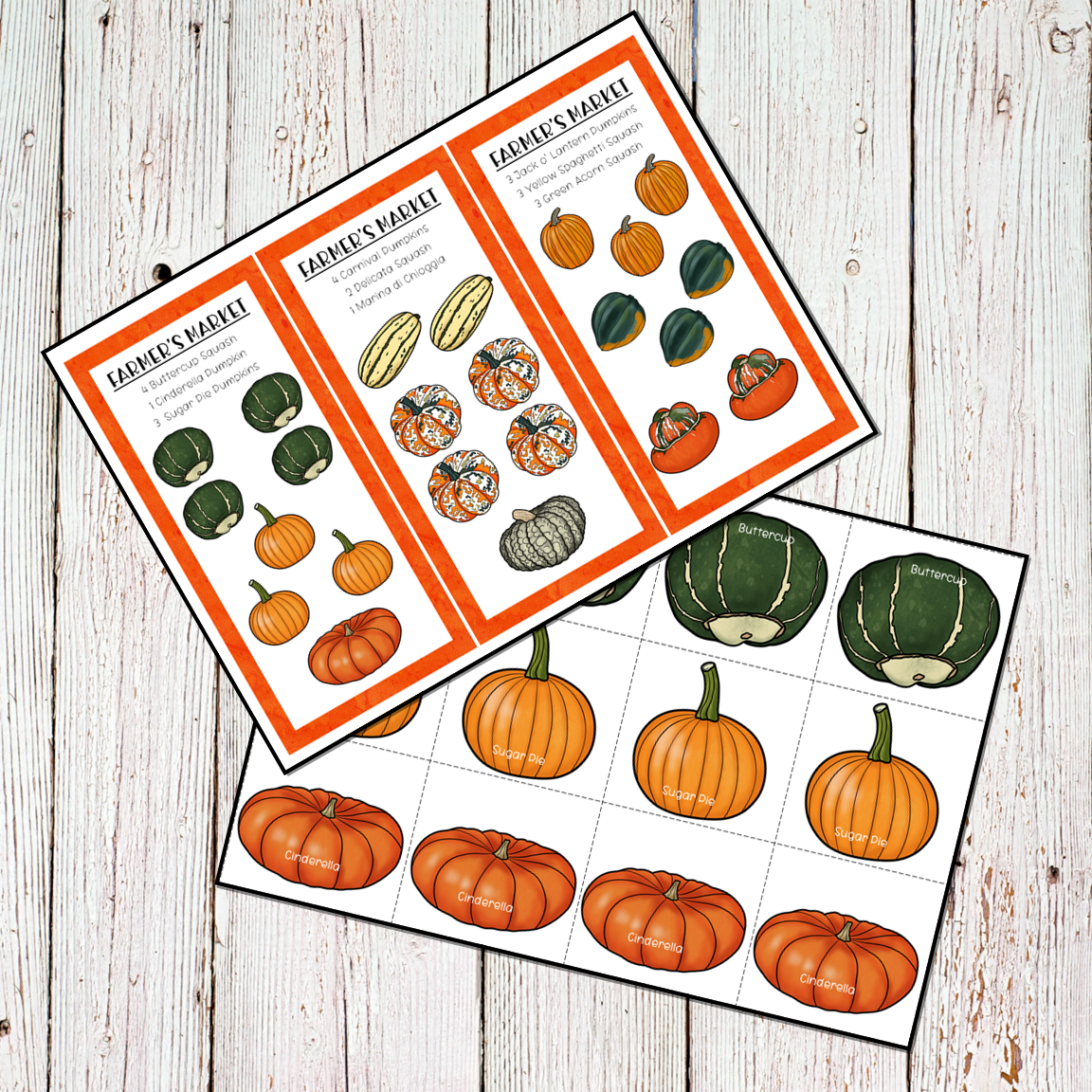 Pumpkins Squash Themed Preschool Math and Literacy Center