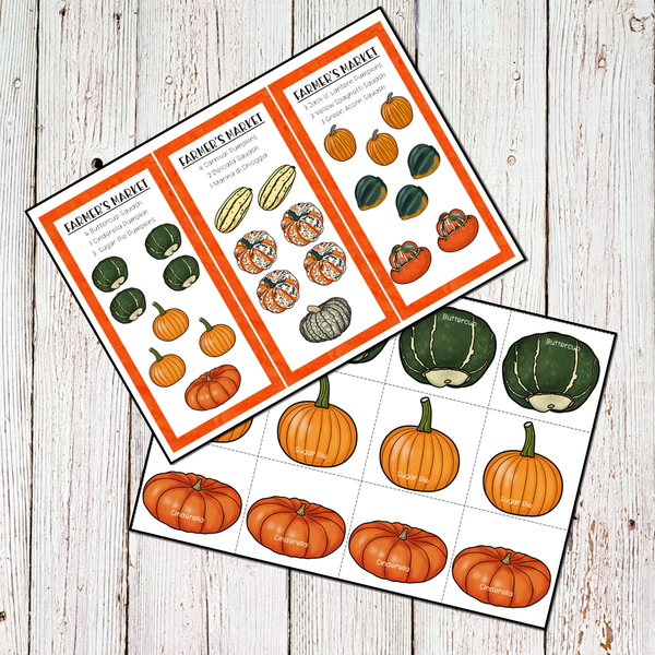 Pumpkins Squash Themed Preschool Math and Literacy Center