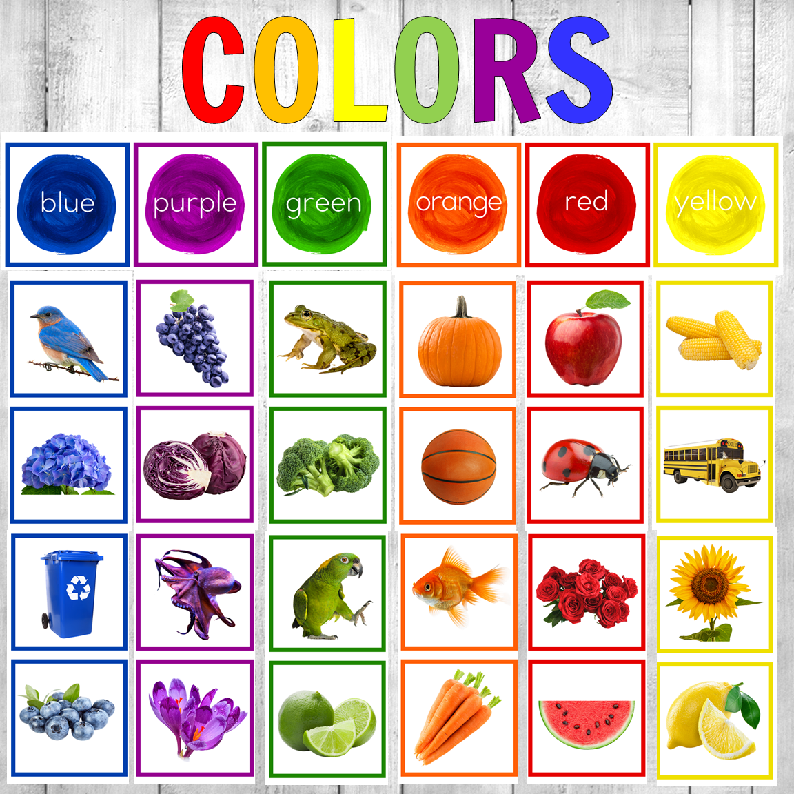 Montessori Color Sorting Cards Real Photos