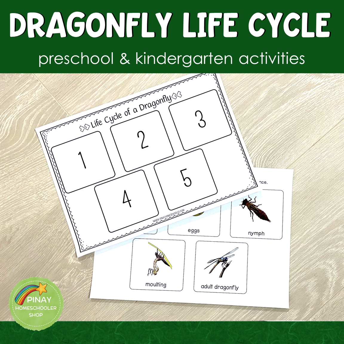 Dragonfly Life Cycle Montessori Inspired
