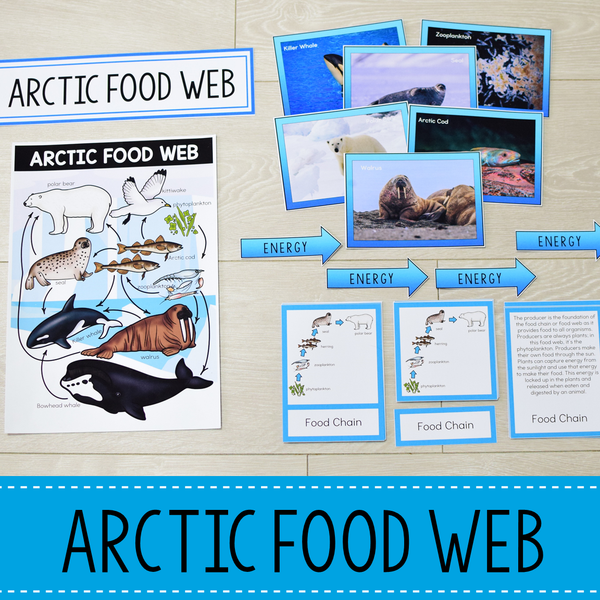 Arctic Biome Food Web and Food Chains Learning Pack