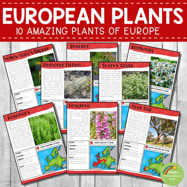 Plants of Europe Montessori 3 Part Cards