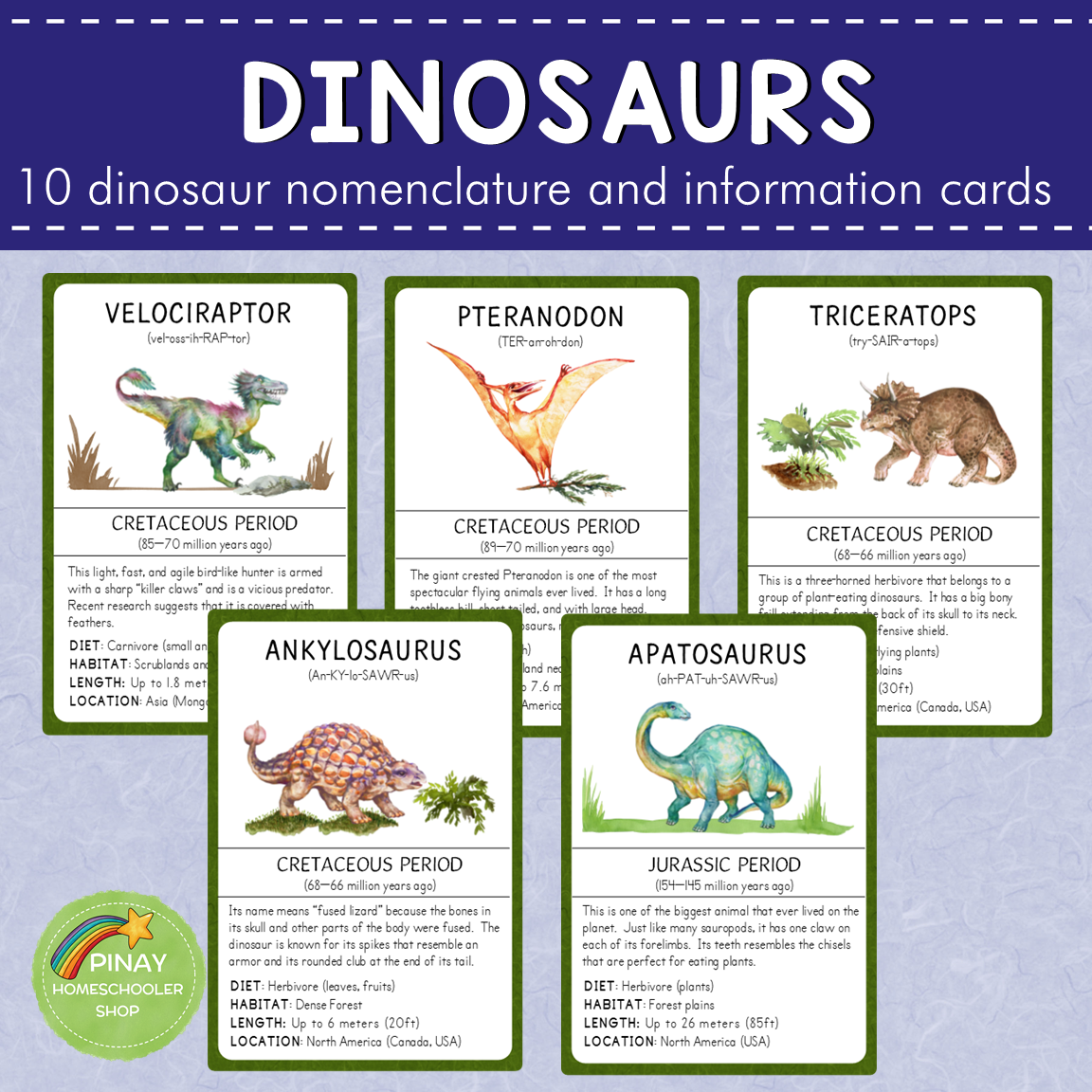 Dinosaurs Montessori 3 Part Cards and Information Cards