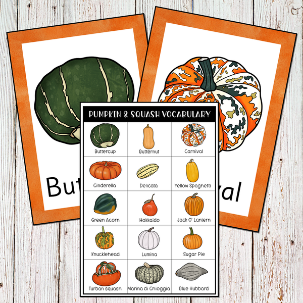 Pumpkins Squash Themed Preschool Math and Literacy Center