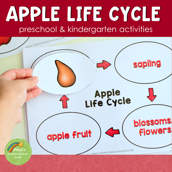 Apple Life Cycle Set -Preschool & Kindergarten Science Centers