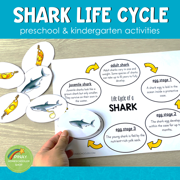 Shark Life Cycle Set - Preschool & Kindergarten