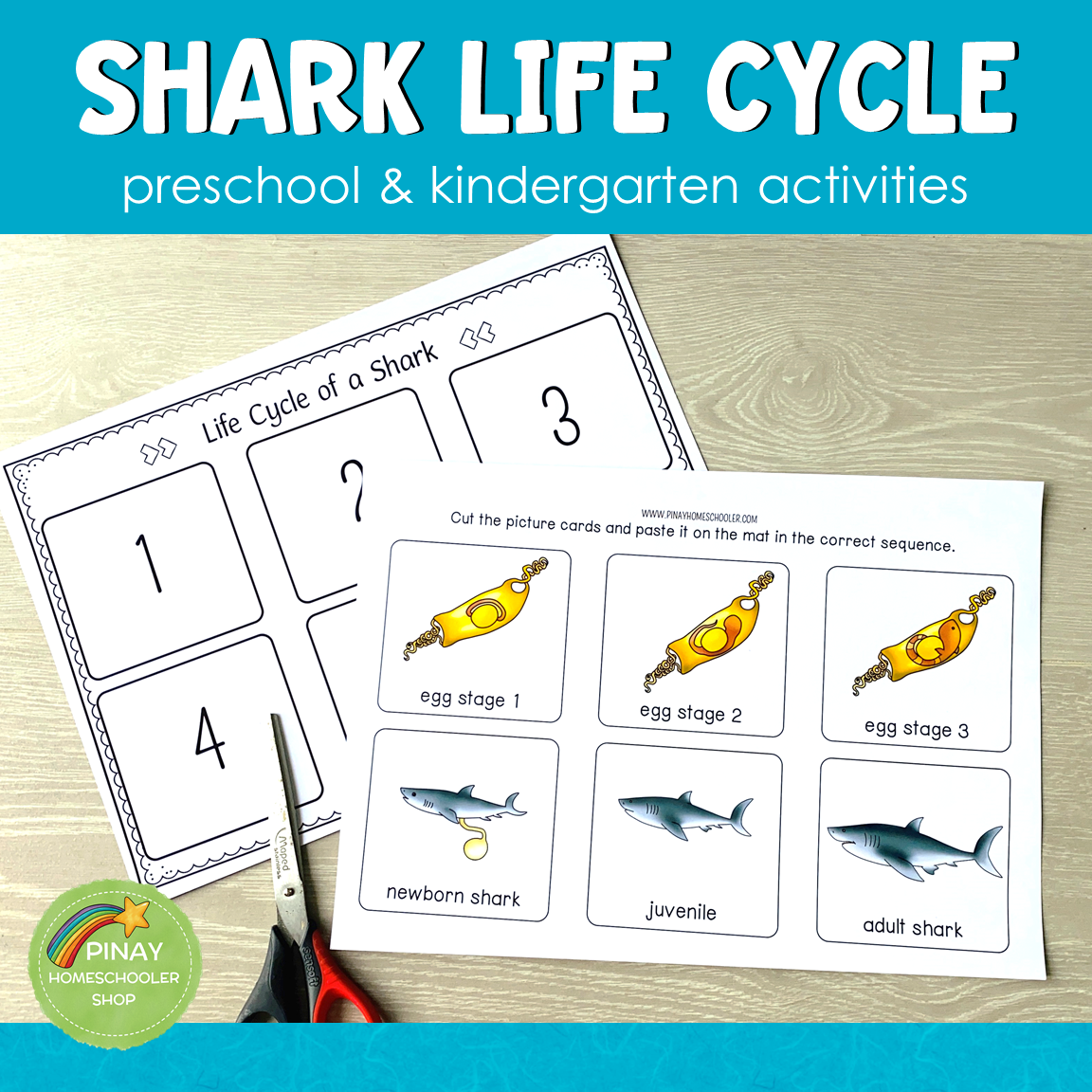 Shark Life Cycle Montessori Inspired
