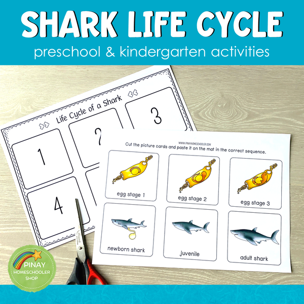 Shark Life Cycle Set - Preschool & Kindergarten