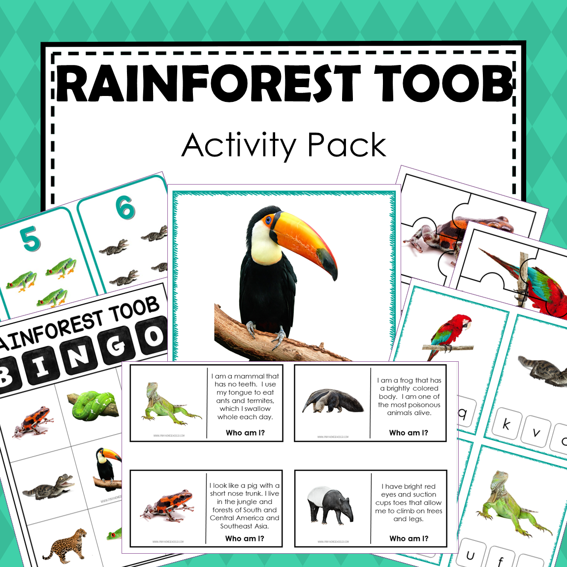 Safari Toob Rainforest Preschool Kindergarten Learning Pack