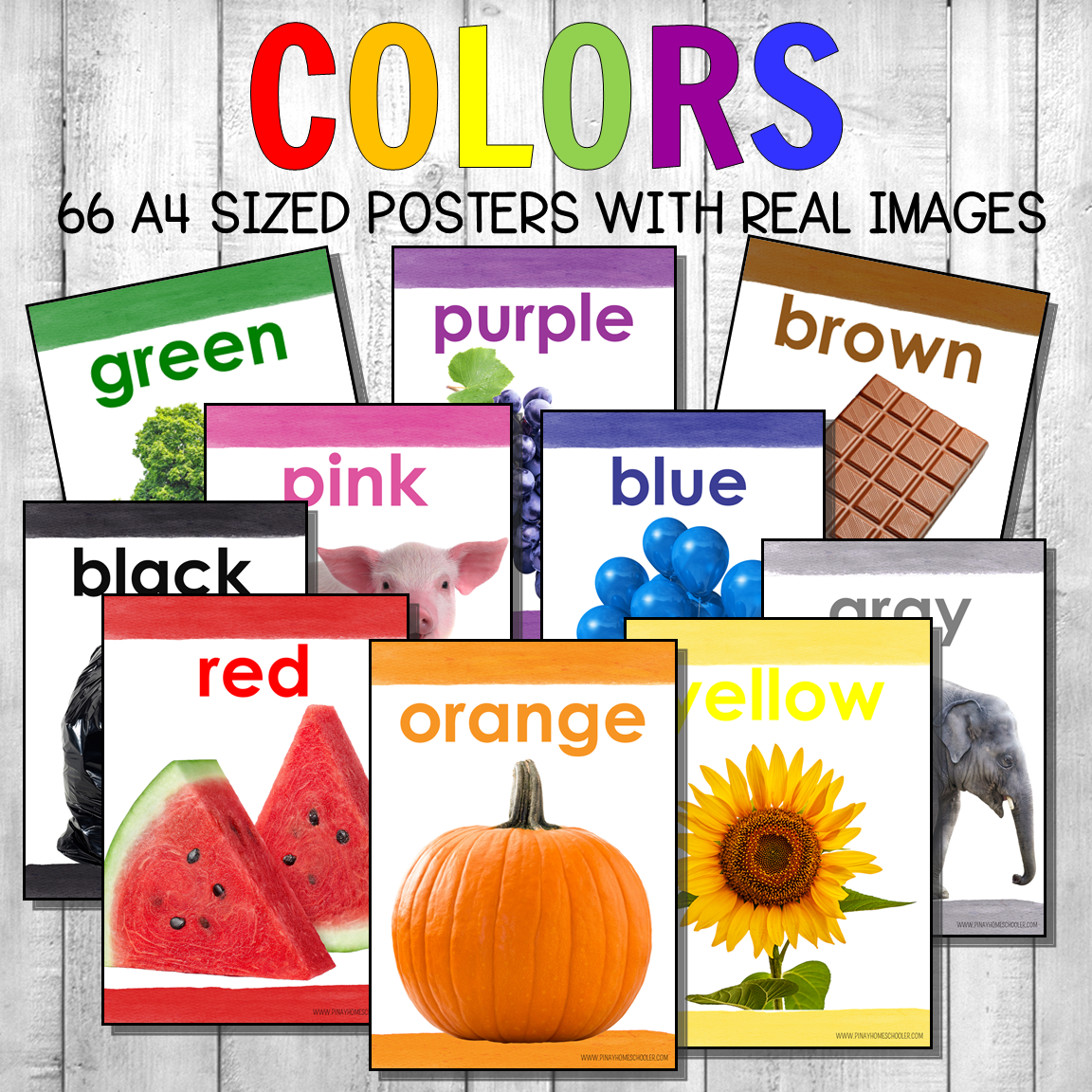 Montessori Color Posters Real Photos Version 2