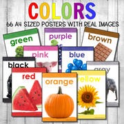 Montessori Color Posters Real Photos Version 2