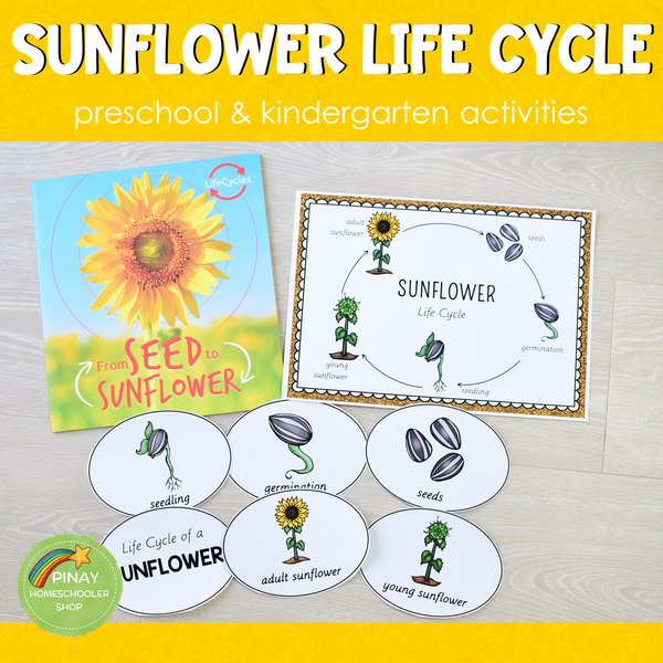 Sunflower Life Cycle Set - Preschool & Kindergarten