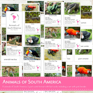 Animals of South America Montessori 3 Part Cards and Fact Cards