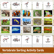 Montessori Vertebrate Sorting Activity Cards