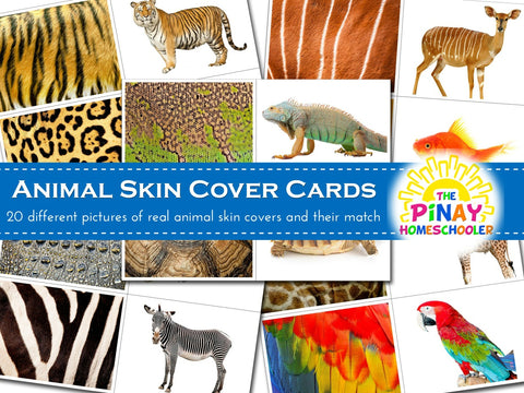 Animals Skin Covers Matching Cards
